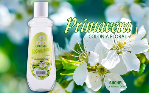 PRIMAVERA colonia